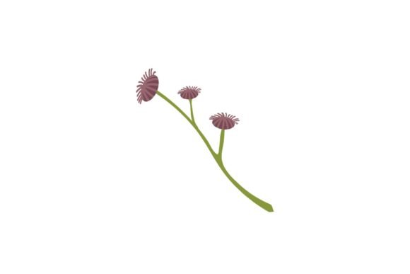 Download Elegant Flower Design - Elegant Collection