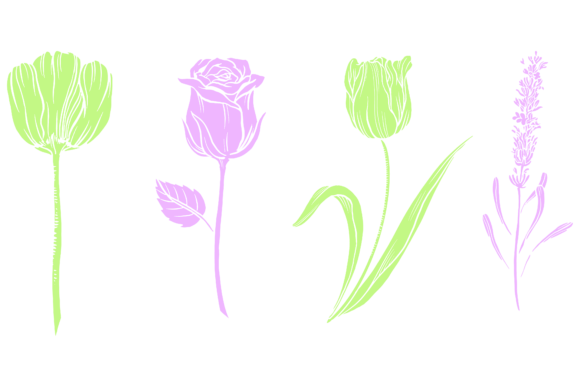 Download Plant Flower Leaf Botanical Design - Premium Bundle