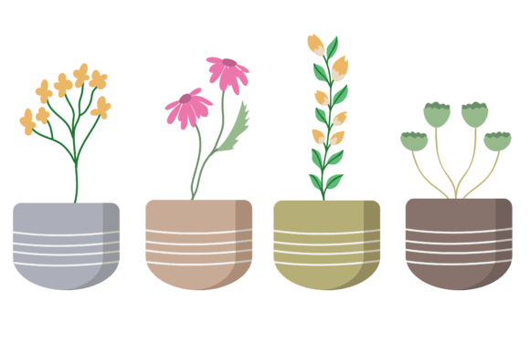 Download Set Plant Botanical Design - Premium Resources